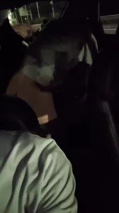 举牌照素材图片我开车对象和单男在后座上啪啪啪。太刺激了。